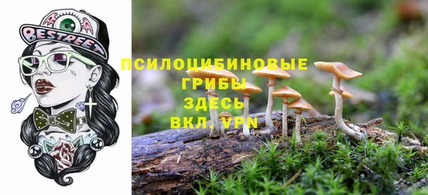 тгк Беломорск