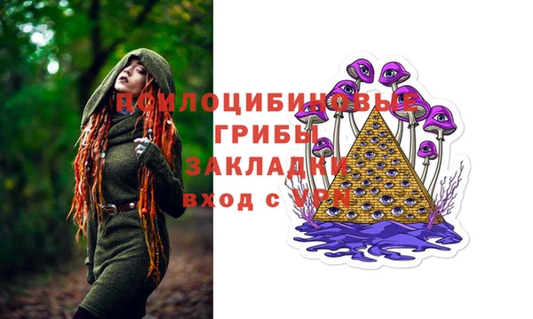 тгк Беломорск