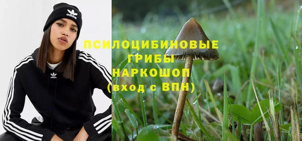 тгк Беломорск
